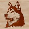 A vector illustration of a husky dog's head.