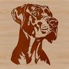 Domesticated Dog Breed Illustration in SVG A large domesticated dog breed, the Great Dane is depicted in this vector illustration.