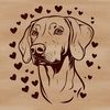 Weimaraner Breed Dog with Heartful Symbols A vector graphic design featuring a Weimaraner breed dog accompanied by love symbols.