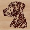 A realistic illustration of a large dog breed's head, featuring a Great Dane's distinctive appearance.