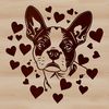 A vector illustration of a friendly Boston Terrier with love hearts surrounding its head.