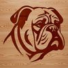 Bulldog Face Illustration Close-up illustration of a Bulldog's head with wrinkled skin and prominent facial features.