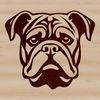 An illustration of a Bulldog's head with wrinkles and folds.