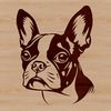 Boston Terrier Breed Illustration in Vector Format Boston Terrier breed profile illustration in vector format.