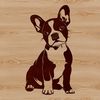 Cute Sitting Dog Breed Design Boston Terrier sitting dog breed illustration in vector format