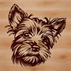 Small yet adorable Yorkshire Terrier breed A cute dog breed with a small head, identified as a Yorkshire Terrier.
