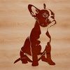 A sitting Boston Terrier dog breed illustration in vector format.