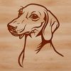 Illustration of a dachshund's head and body in a simple line drawing style.