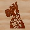 Cute Adult Miniature Schnauzer Illustration Illustration of a small adult Miniature Schnauzer dog with a distinctive beard and eyebrows.