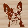 An SVG graphic representation of a Boston Terrier, ideal for use in various digital applications and design software.