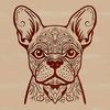 A detailed illustration of a French Bulldog's head.