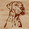 Great Dane Portrait SVG Design A vector illustration of a Great Dane, often used in pet design and artwork.