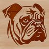 Bulldog Head Silhouette A stylized illustration of a Bulldog's head, suitable for use in graphic design.
