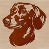 Realistic Dachshund Head Design A realistic illustration of a dachshund's head with detailed facial features and texture.