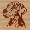 Great Dane Head Icon Design A Great Dane's head illustration in vector format.