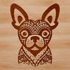 Beautiful Boston Terrier Portrait Vector Graphic Close-up illustration of a Boston Terrier's head, ideal for vector art and digital design projects.