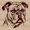 Bulldog Head Vector Design Artwork A detailed illustration of a bulldog's head, suitable for vector design and commercial or personal projects.