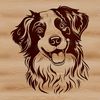 Australian Shepherd Dog Face Art A portrait of a medium-sized dog with a pointed head and erect ears, identified as an Australian Shepherd breed.
