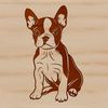 Sitting Dog Breed SVG Design A digital illustration of a sitting Boston Terrier dog breed.