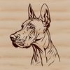 Distinctive Dog Breed Portrait Close-up illustration of a large dog's head with a distinctive muzzle and floppy ears.