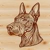 Beautiful Doberman Clip Art Design A detailed illustration of a Doberman Pinscher's head, suitable for vector design or cutting machine projects.