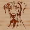 Large Breed Dog Head Illustration Illustration of a large breed dog's head with details suitable for cutting machine designs.
