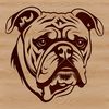 Vector Dog Head Design with Wrinkles A vector illustration of a bulldog's head with wrinkles and a distinctive underbite.