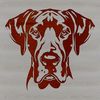 Great Dane Illustration Vector illustration of a Great Dane's head and body, ideal for clip art designs.
