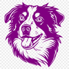 Australian Shepherd Digital Drawing In SVG, PNG, PDF And DXF Formats