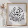 Beautiful Weimaraner In PDF Free Commercial Use Download