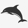 Unique Dolphin Template PNG - Free Download