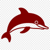 Unique Dolphin In PDF Free Commercial Use Download