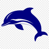 Dolphin Vector Image In PNG & SVG - Free Digital Download