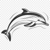 Creative Dolphin Template