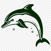 Free Unique Dolphin Template