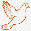 A realistic illustration of a dove in flight, suitable for vector art designs.