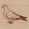 A free SVG illustration of a dove bird in vector design format.