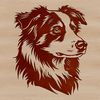 A detailed illustration of a loyal Australian Shepherd dog's head with a rugged yet friendly expression.