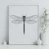 Colorful Vector Dragonfly Design An illustration of a dragonfly with its wings spread wide, created as a vector graphic.