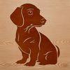 A seated Dachshund dog with a neutral expression.