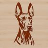 Doberman Pinscher Head Design High-quality vector illustration of a Doberman Pinscher's head.