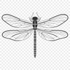 Beautiful Insect Silhouette A colorful dragonfly in mid-flight, suitable for digital design projects.