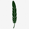 Delicate Vector Feather Design A stylized illustration of a single feather with delicate lines and subtle texture.