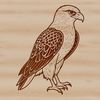 Mid-Flight Falcon Bird Silhouette Design A detailed SVG illustration of a falcon in mid-flight.