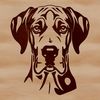 An illustration of a Great Dane in vector format.