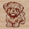 Illustration of a sitting Shih Tzu dog as vector art.
