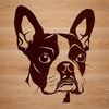 Vector Graphic Dog Breed Illustration Close-up portrait of a Boston Terrier breed dog, ideal for clip art designs.