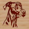 Great Dane Dog Head Illustration A detailed vector illustration of a Great Dane's head, suitable for personal or commercial design projects.