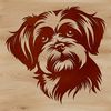 A detailed illustration of a small dog's head with a rounded face and long fur.