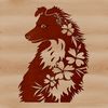 A small to medium-sized dog breed with a flowing coat, often used as a household pet.